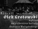 Koncert Olka Grotowskiego